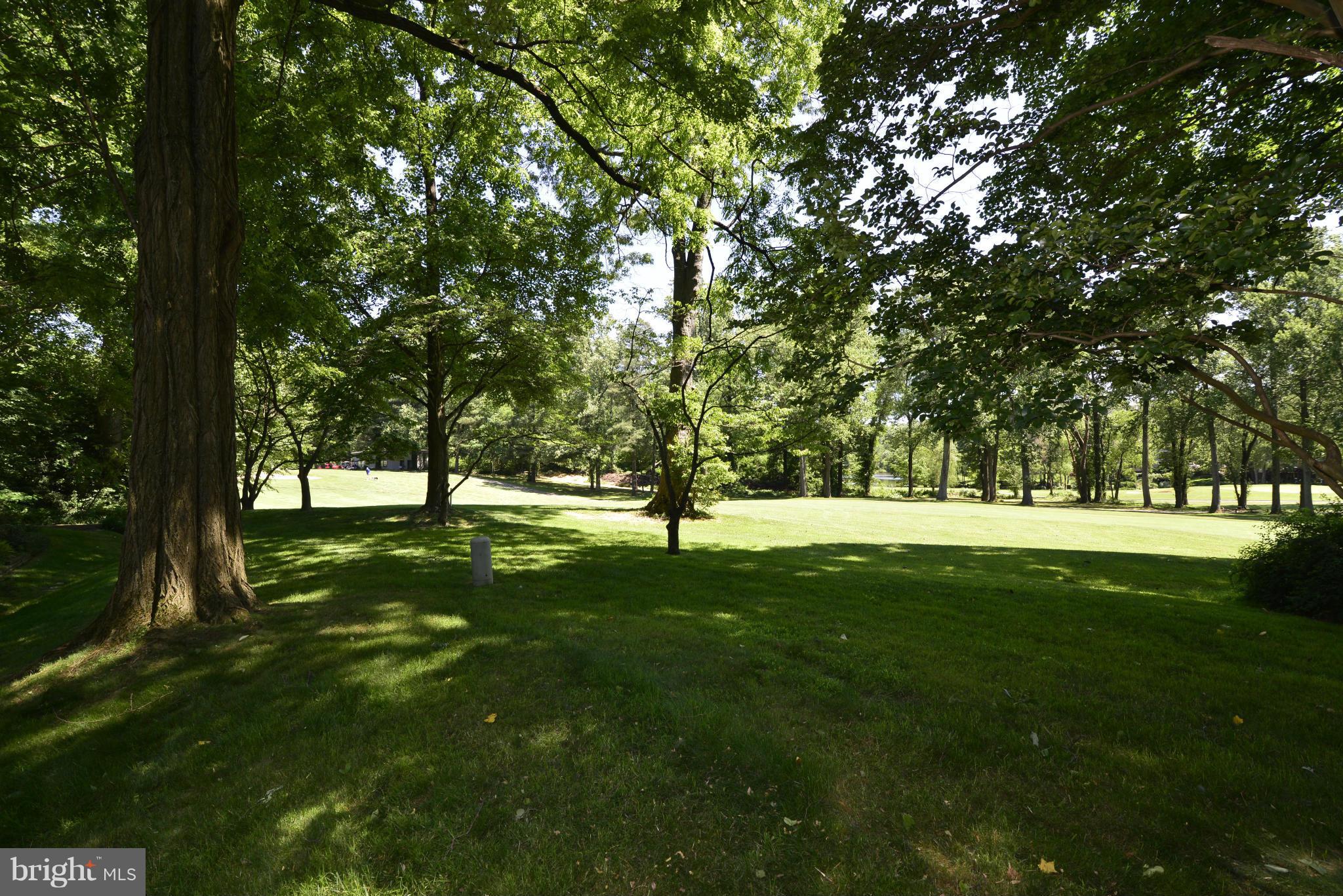 2065 Golf Course Drive Reston, VA 20191 - Photo 24 of 30 a big yard with lots of green space and trees