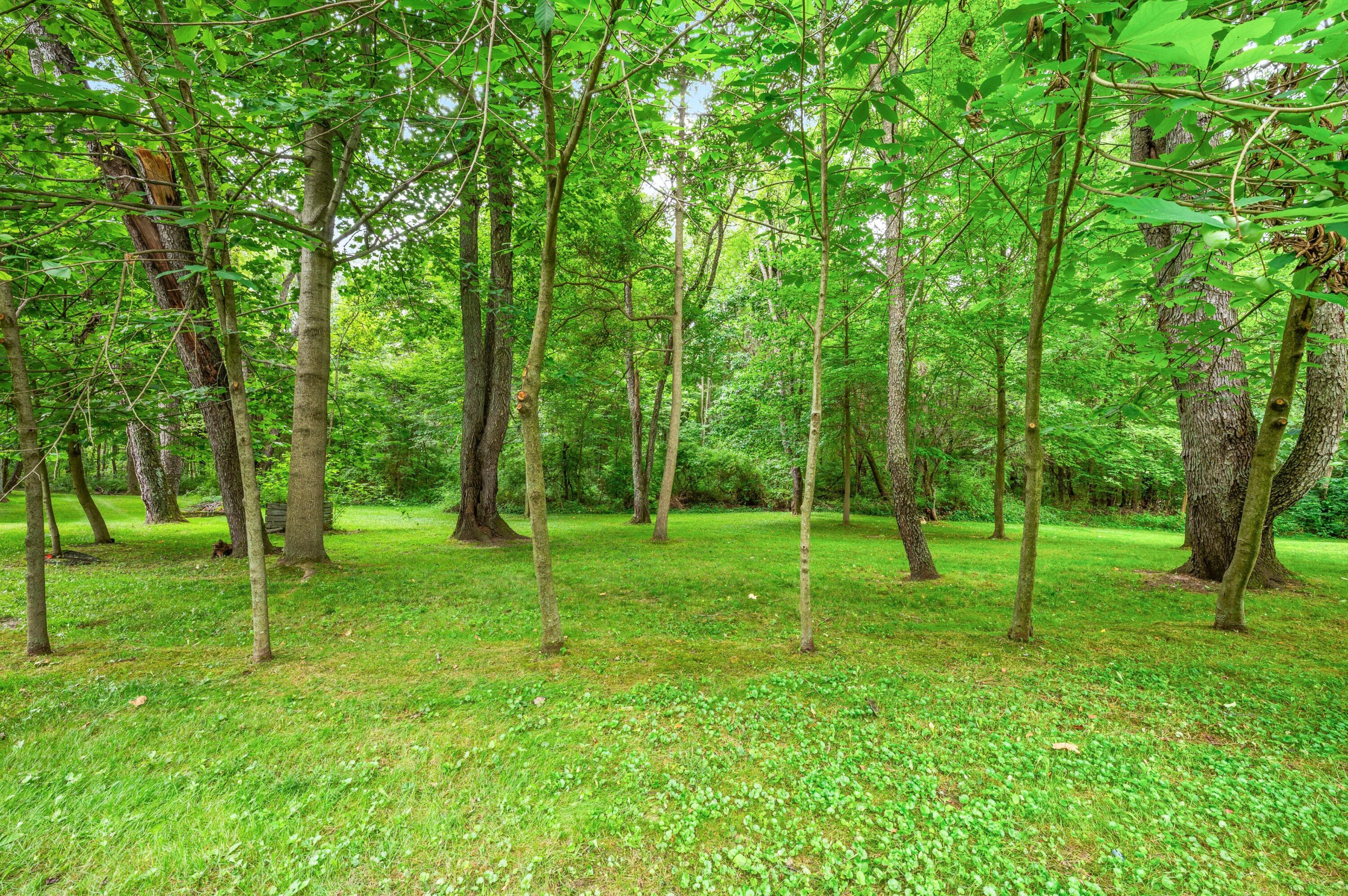 55704 Penn Road Cassopolis, MI 49031 - Photo 48 of 50 47DSC_3899