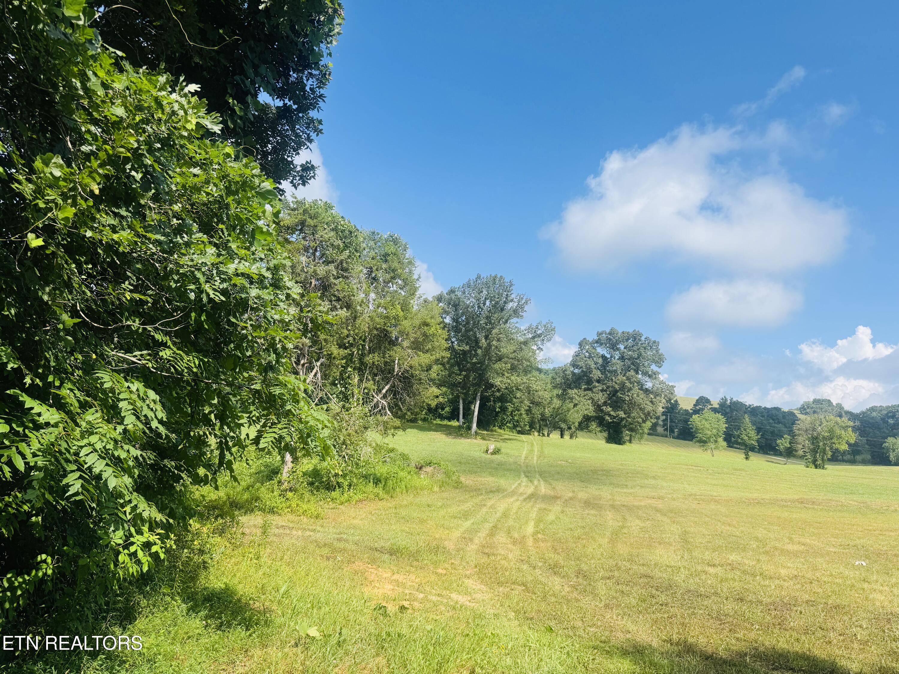 1 Mill Creek Road Andersonville, TN 37705 - Photo 11 of 26 IMG_0968