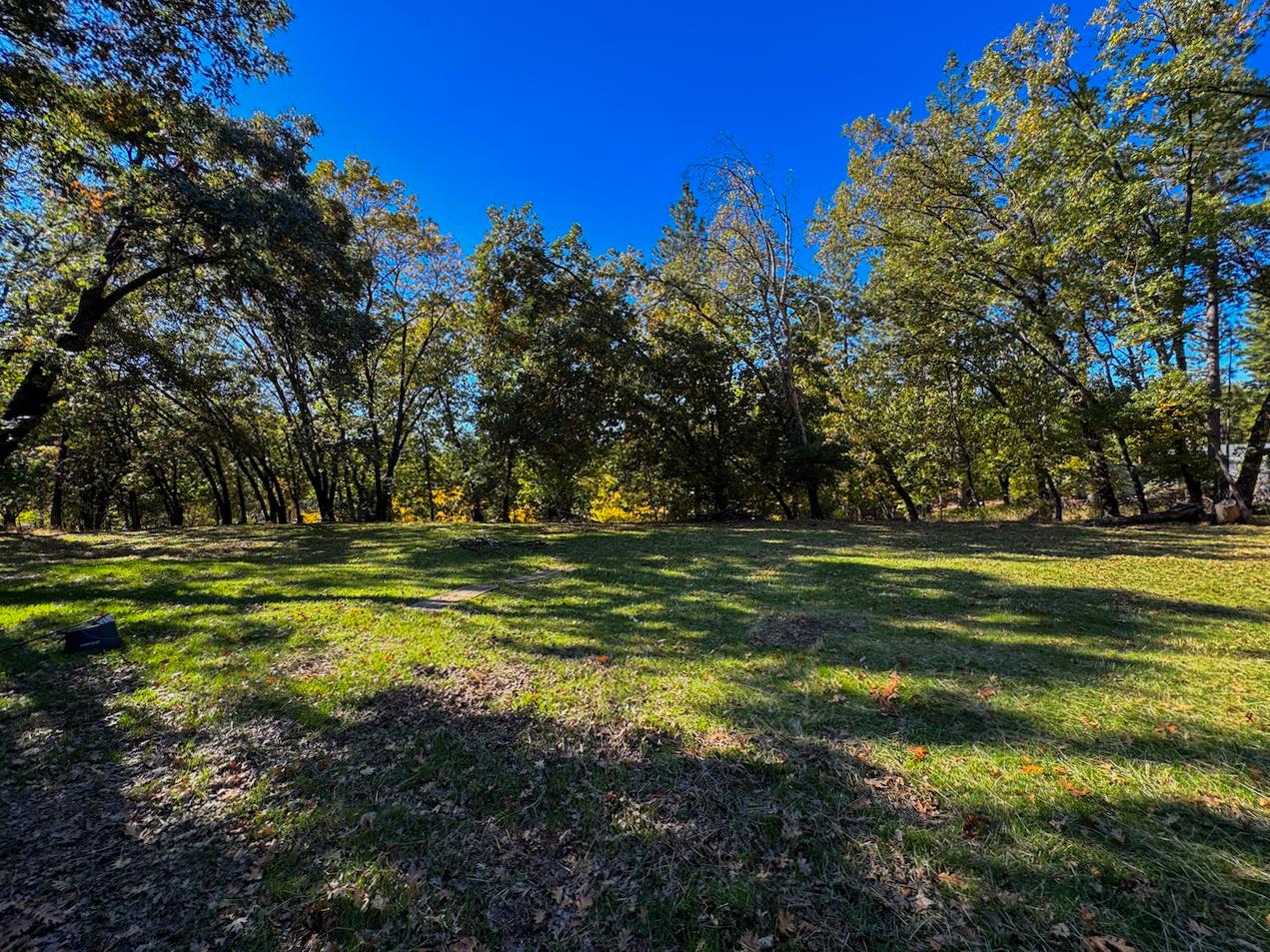 150 Centennial Mine Road West Point, CA 95255 - Photo 45 of 55 Gallery Image 45