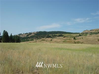 -lot 1 Starlight Road Republic, WA 99166 - Photo 1 of 1 Gallery Image 1