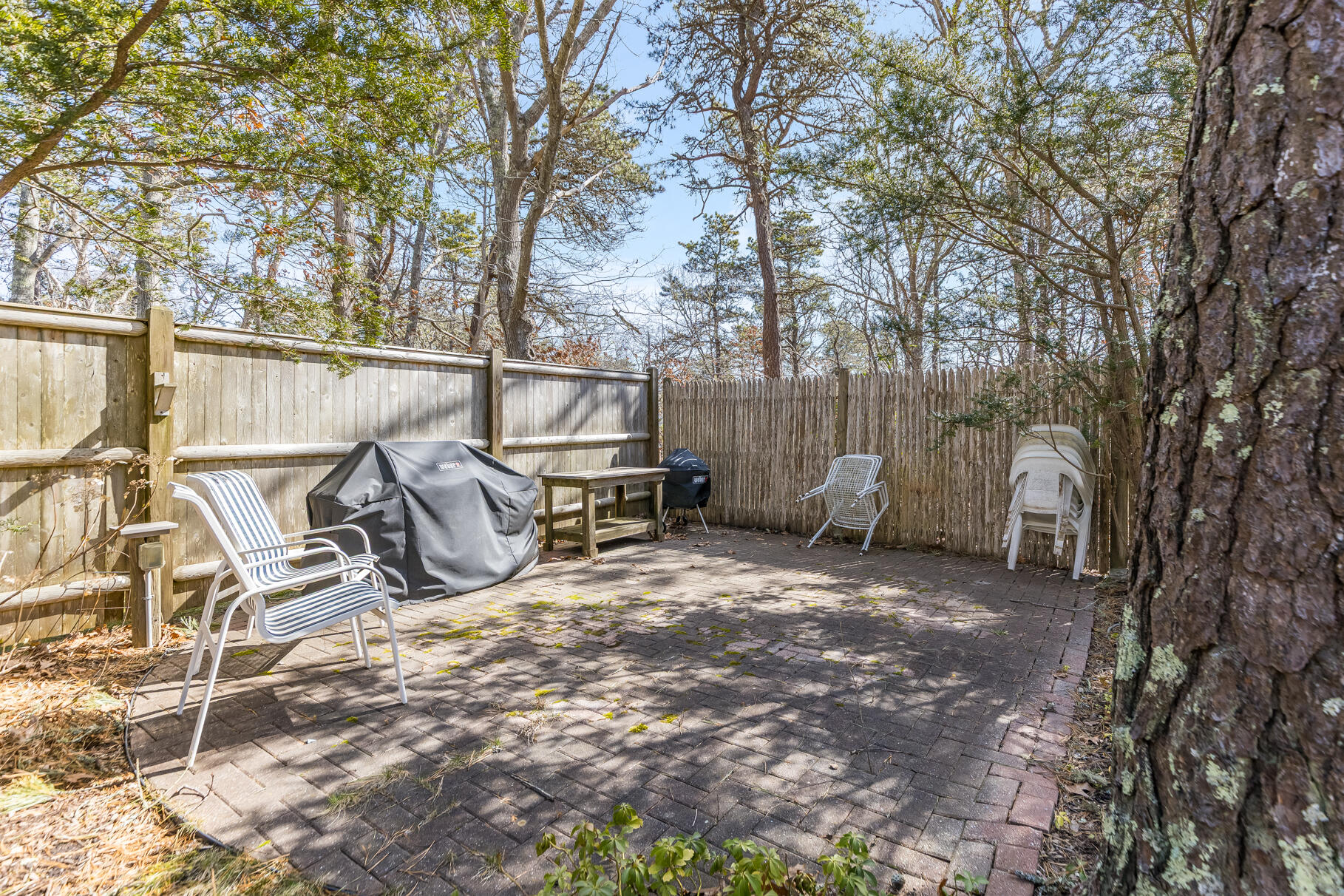 23 Hall Avenue West Harwich, MA 02671 - Photo 54 of 62 3P2A2372