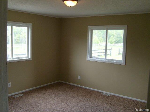 298 Sanders Road Oxford, MI 48371 - Photo 10 of 23 Large Master.JPG