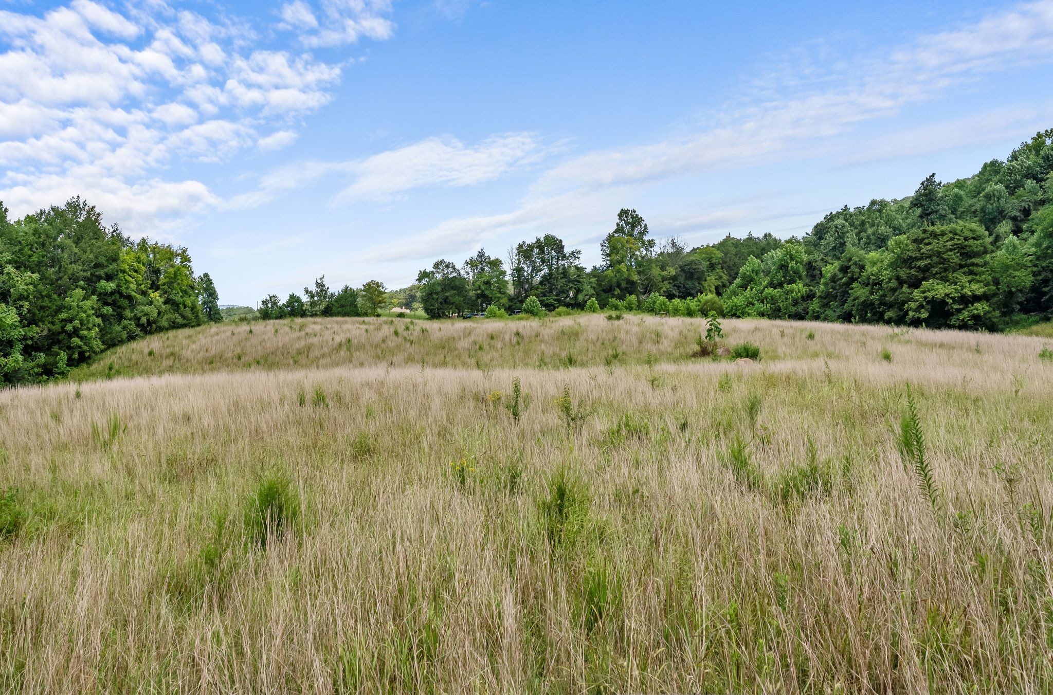 0 Sparkman Town-Bone Cave Road Doyle, TN 38559 - Photo 37 of 77 Gallery Image 37