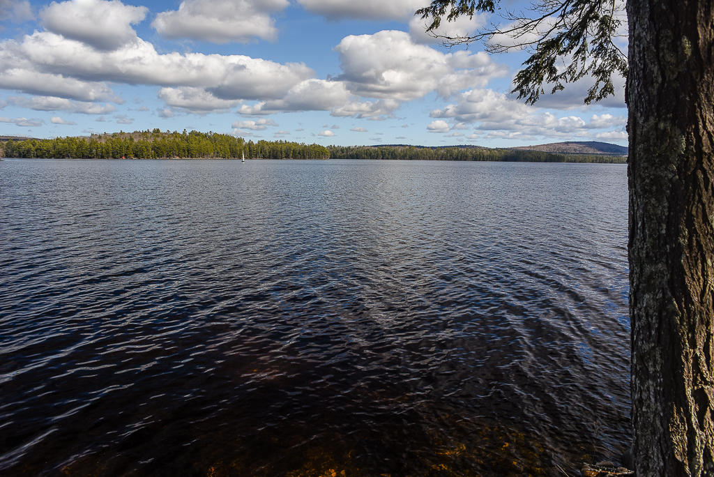 371 Stevens Shore Road Palermo, ME 04354 - Photo 33 of 36 371 Stephens Shore Road (33 of 34)