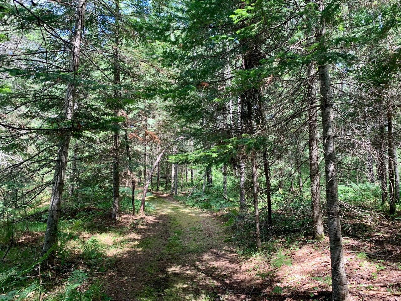 On Burnt Bridge Road, Unit LOT 2 St. Germain, WI 54558 - Photo 11 of 15 Gallery Image 11