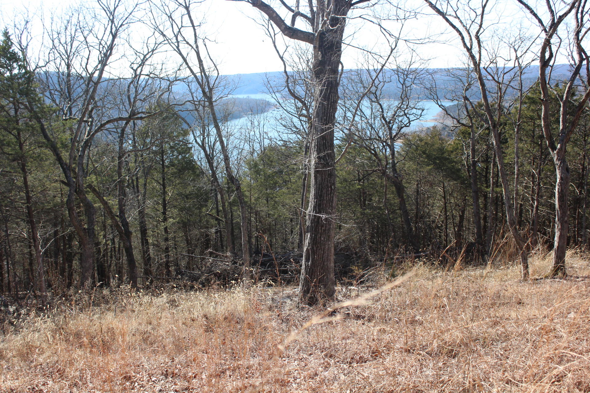 Lot 2 Monticello Road Galena, MO 65656 - Photo 1 of 1 IMG_3038