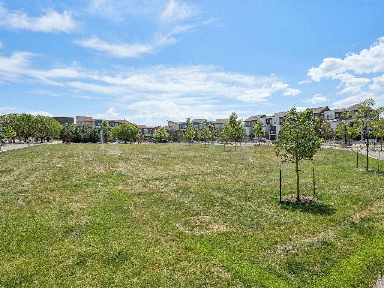 11202 Colony Circle Broomfield, CO 80021 - Photo 20 of 23 a view of a field with a tree in it