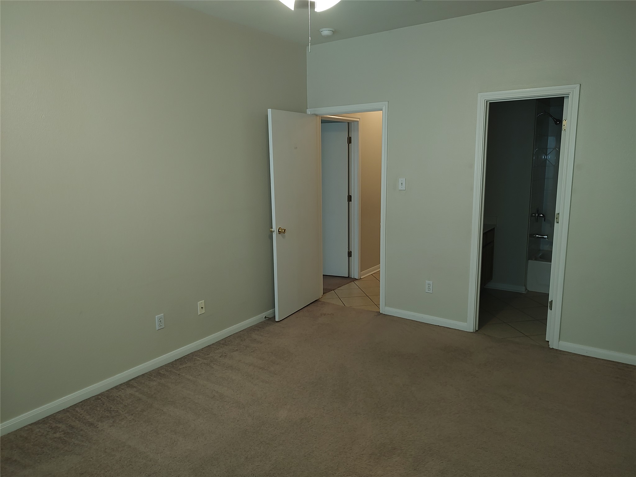 2206 South Bagdad Road, Unit B Leander, TX 78641 - Photo 7 of 13 Well-lit room with plush carpet, providing access to an adjacent bathroom.