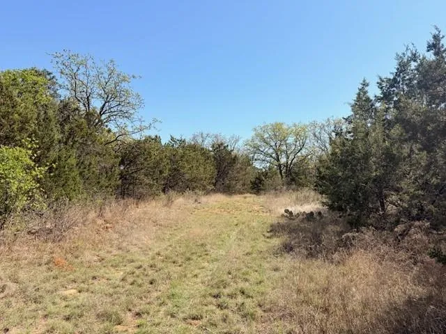 a view of a yard with a tree