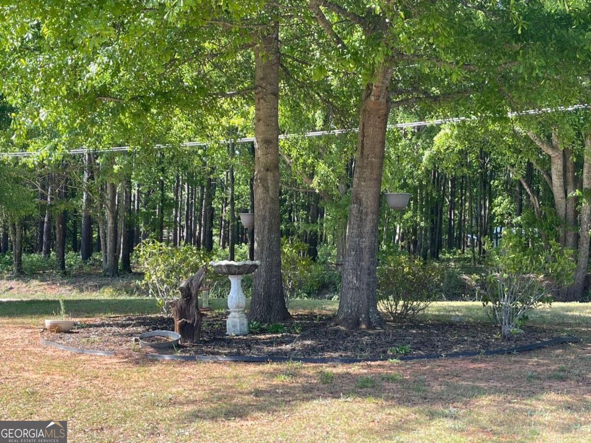 457 Old Good Hope Road Good Hope, GA 30641 - Photo 53 of 59 a view of a backyard with trees