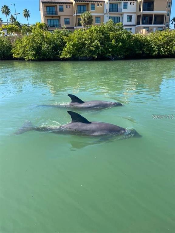 4024 Casey Key Road Nokomis, FL 34275 - Photo 80 of 87