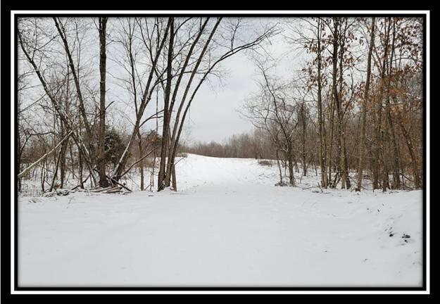 0 Number 12 Hollow Road Wellston, OH 45692 - Photo 30 of 45 image030