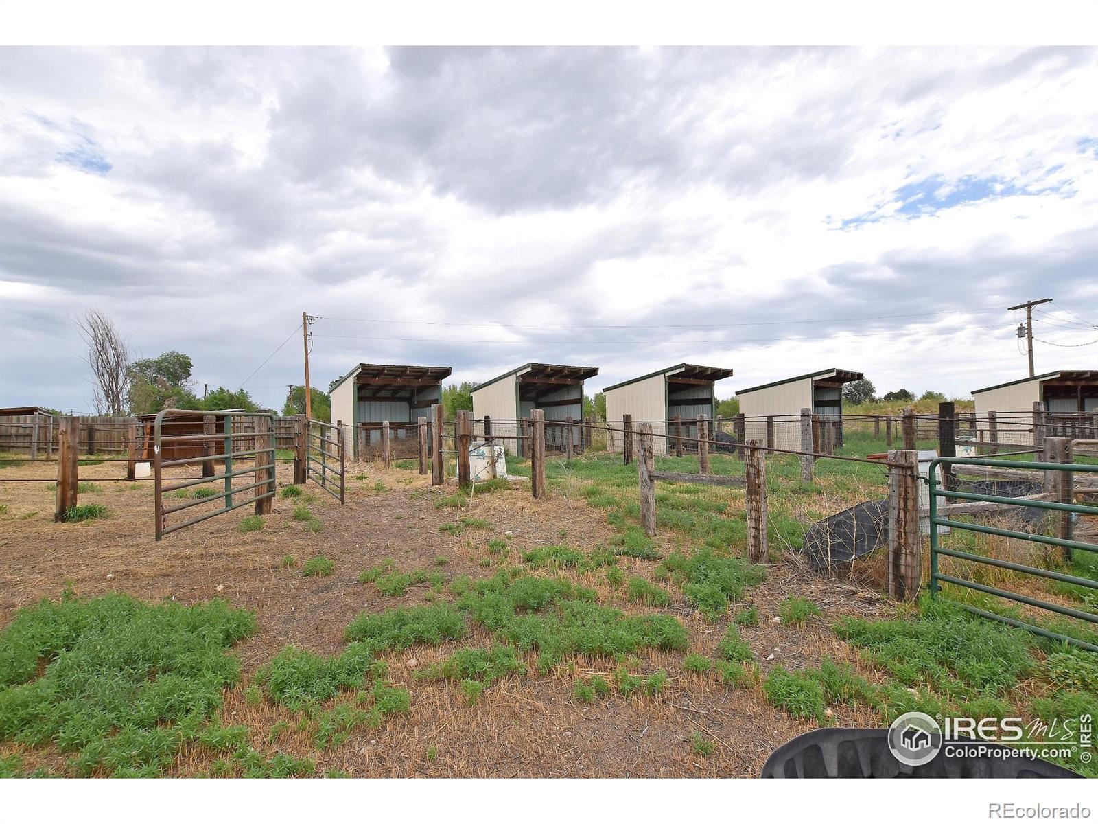 1340 North Taft Hill Road Fort Collins, CO 80521 - Photo 15 of 40 a view of a backyard
