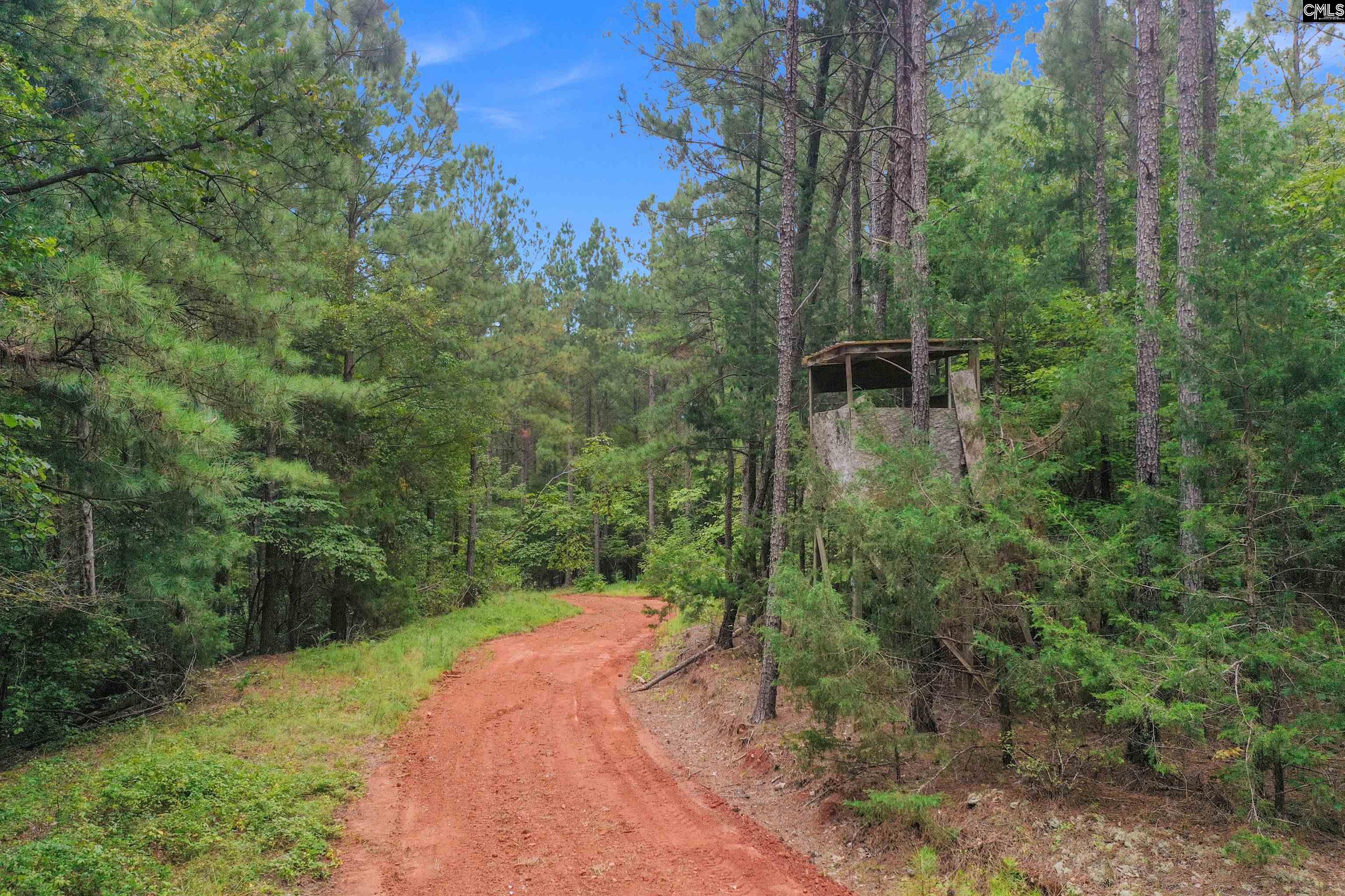 0 Penner Road, Unit 10 Jenkinsville, SC 29065 - Photo 16 of 43
