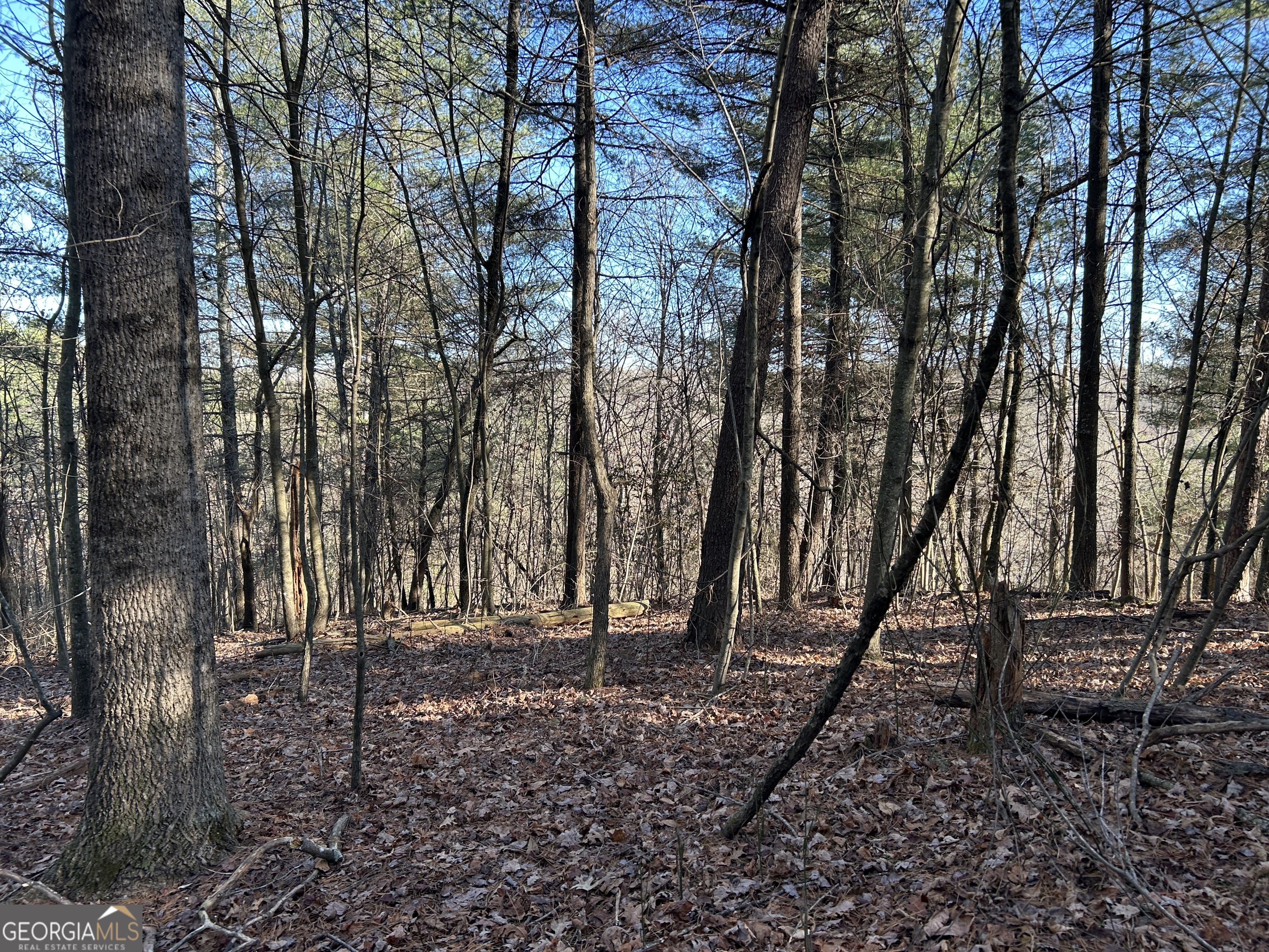 0 Twin River Orchard Road, Unit TRACT 4 Demorest, GA 30535 - Photo 11 of 15 a backyard of a house with lots of green space