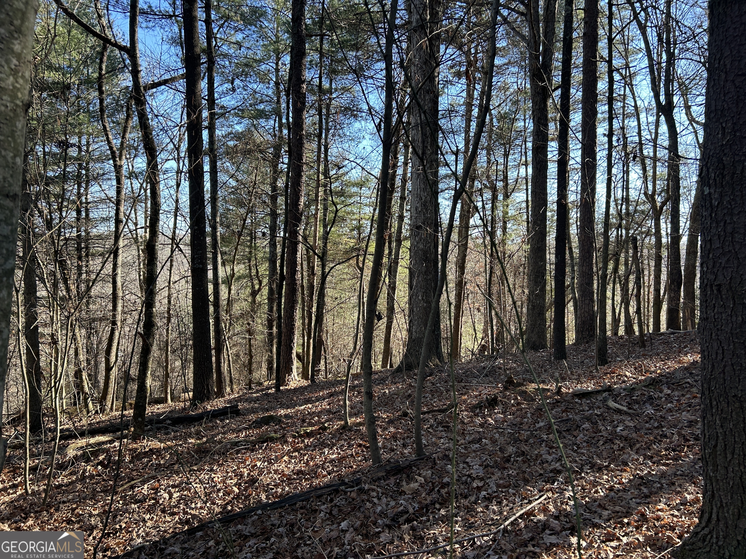 0 Twin River Orchard Road, Unit TRACT 4 Demorest, GA 30535 - Photo 12 of 15 a view of a backyard with large trees
