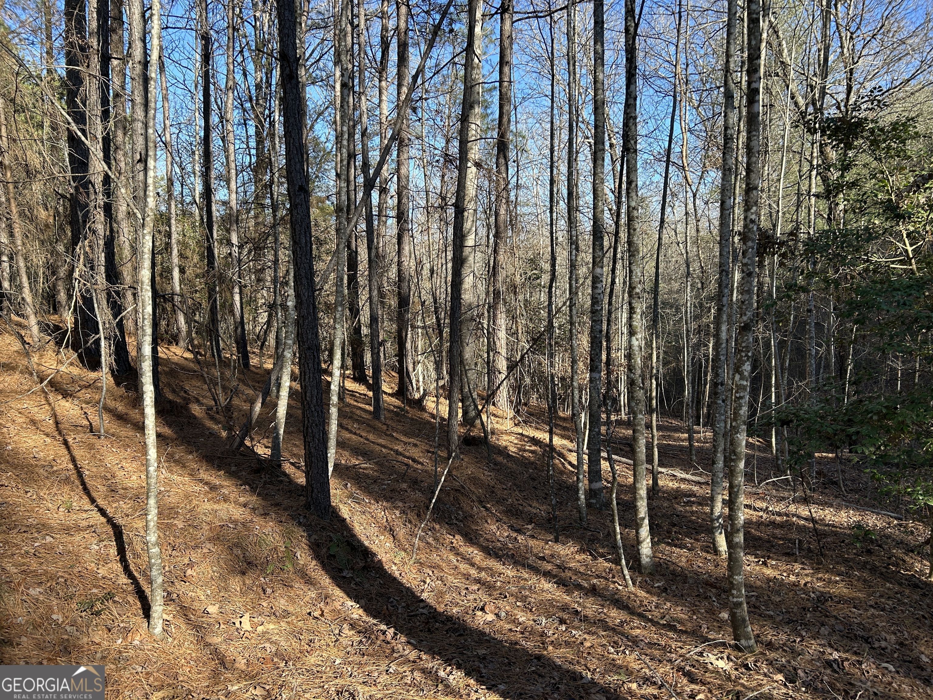 0 Twin River Orchard Road, Unit TRACT 4 Demorest, GA 30535 - Photo 4 of 15 a view of outdoor space
