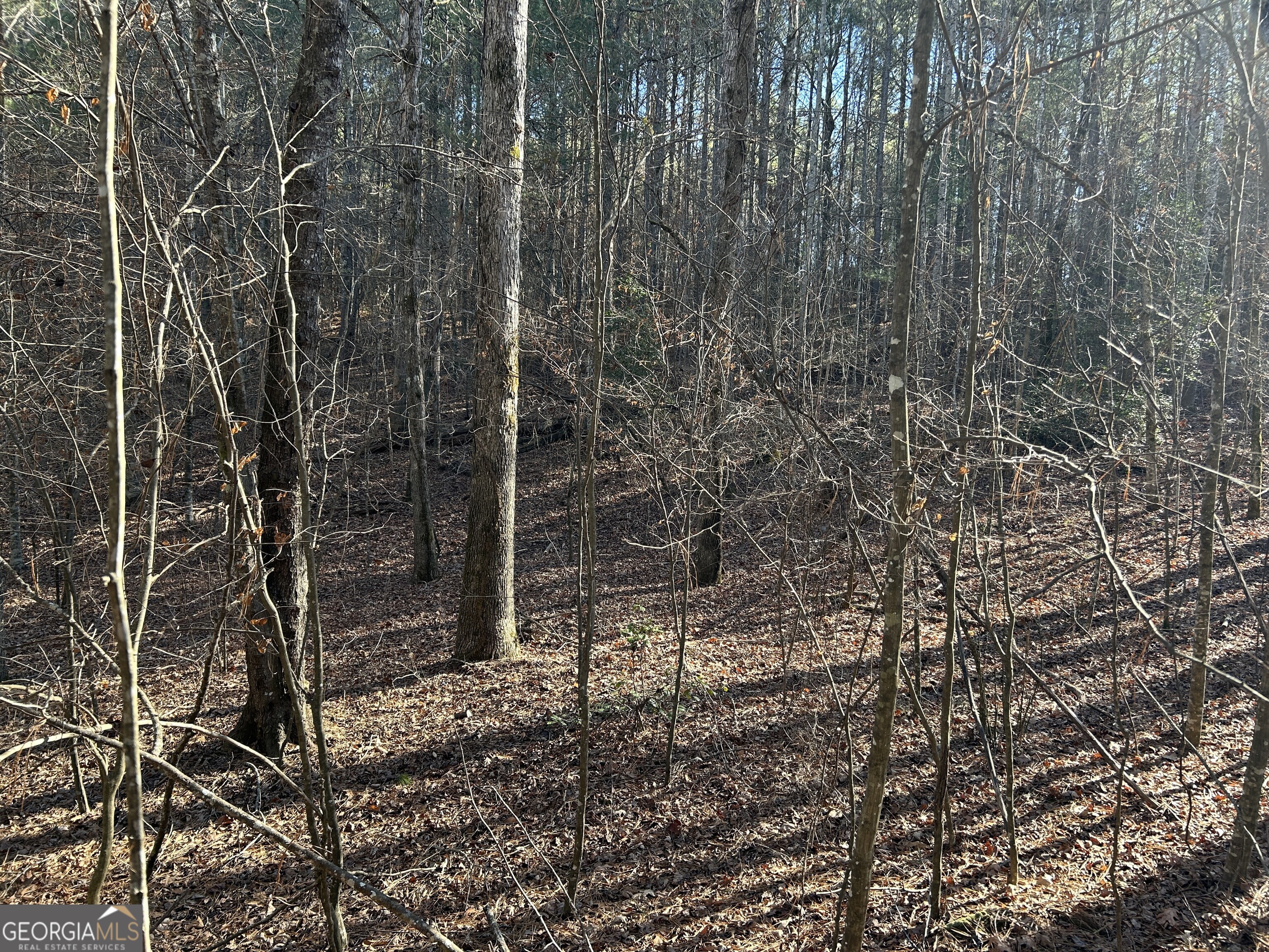 0 Twin River Orchard Road, Unit TRACT 4 Demorest, GA 30535 - Photo 5 of 15 a view of a pathway