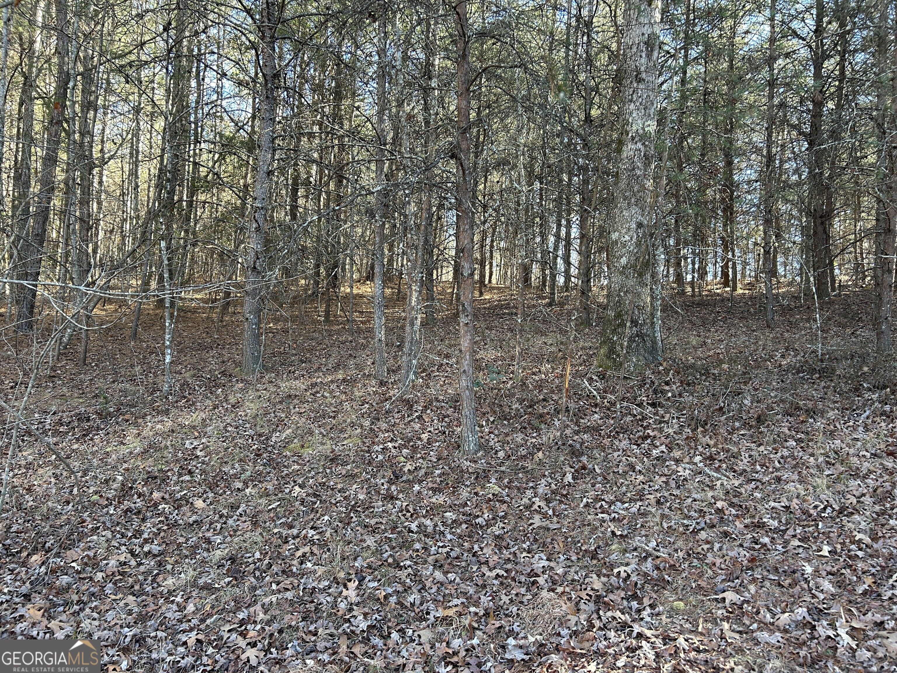 0 Twin River Orchard Road, Unit TRACT 4 Demorest, GA 30535 - Photo 7 of 15 a view of a yard with large trees