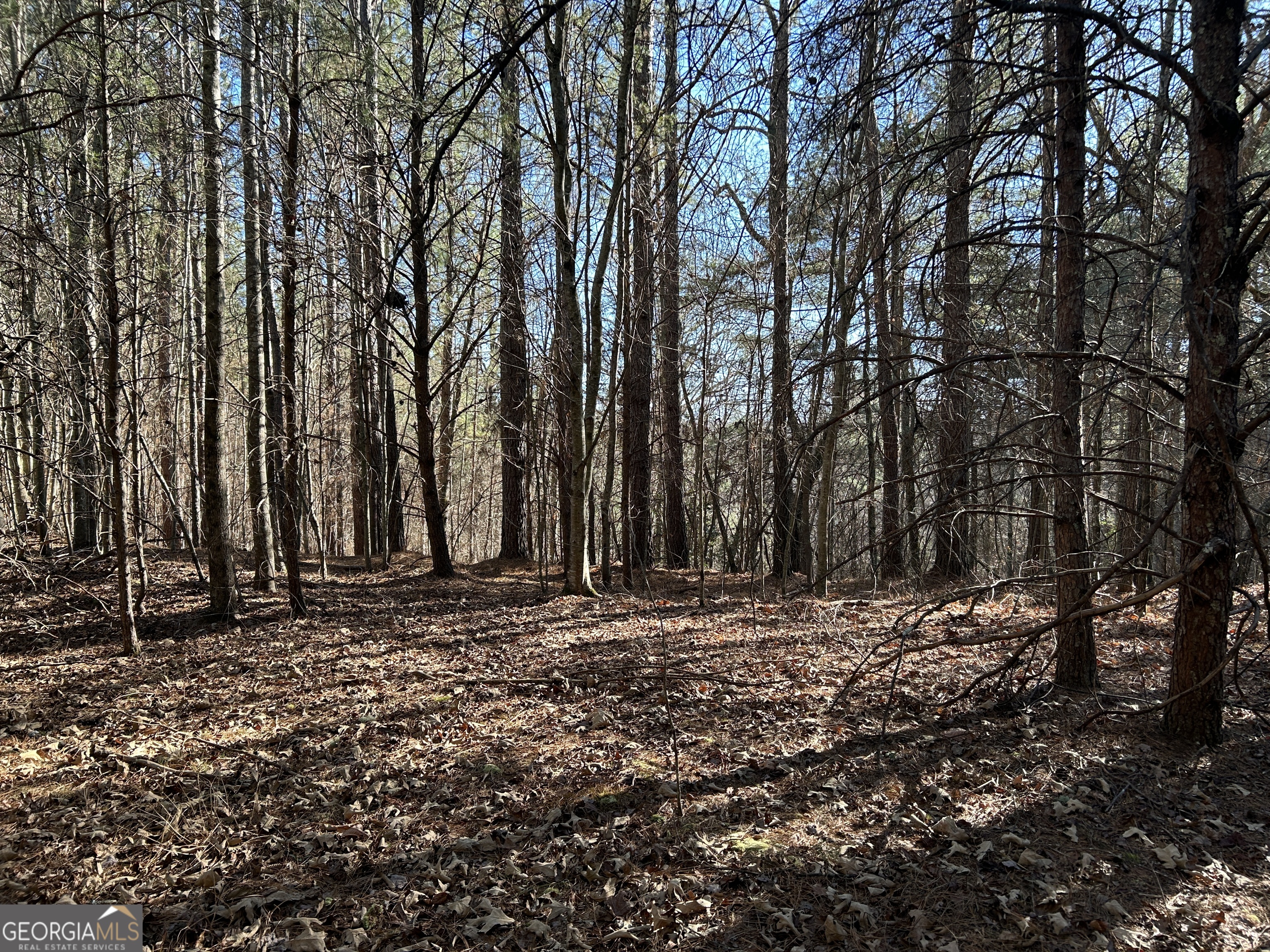 0 Twin River Orchard Road, Unit TRACT 4 Demorest, GA 30535 - Photo 8 of 15 a view of a backyard of the house