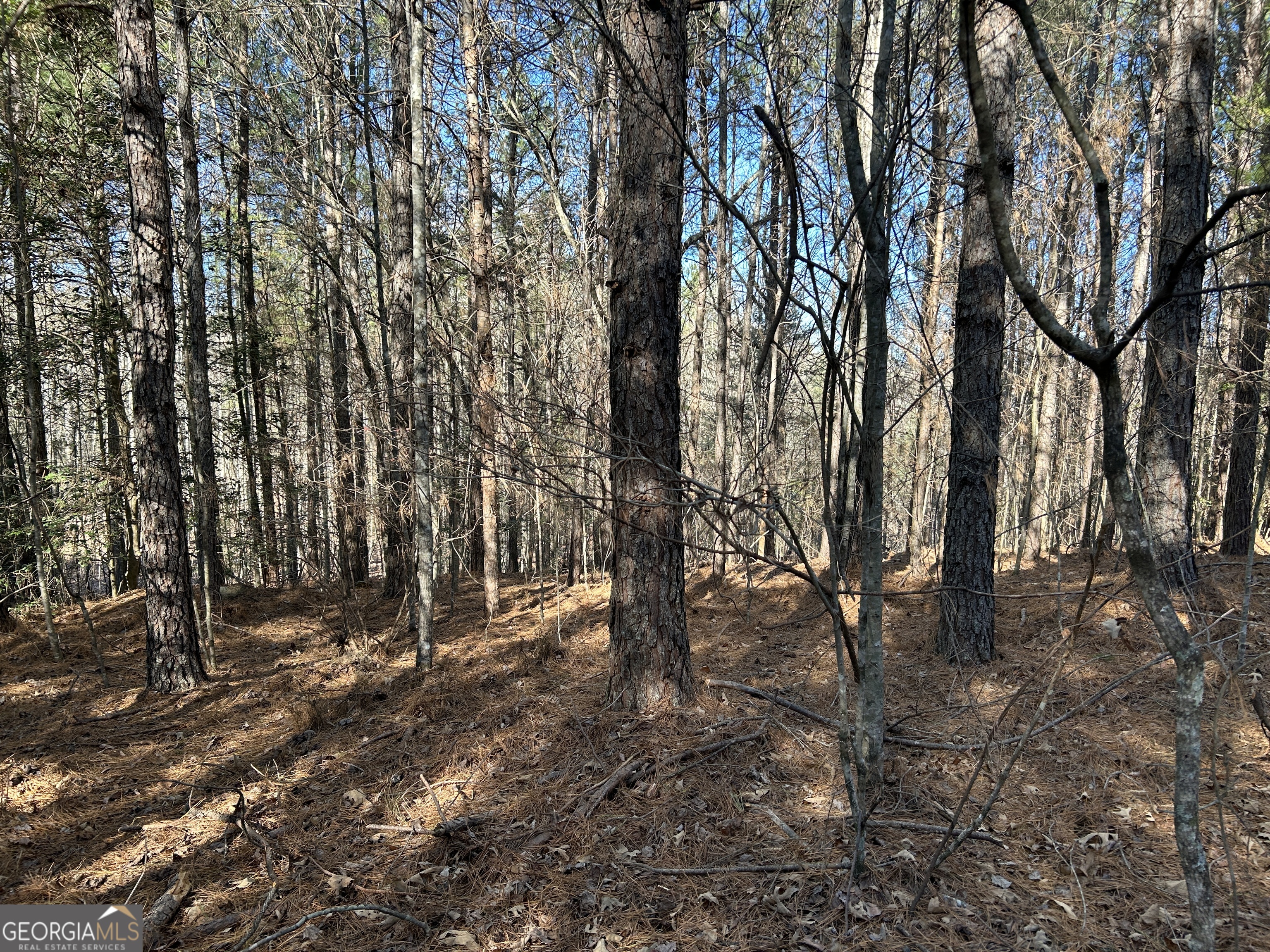 0 Twin River Orchard Road, Unit TRACT 4 Demorest, GA 30535 - Photo 9 of 15 a backyard of a house with lots of trees