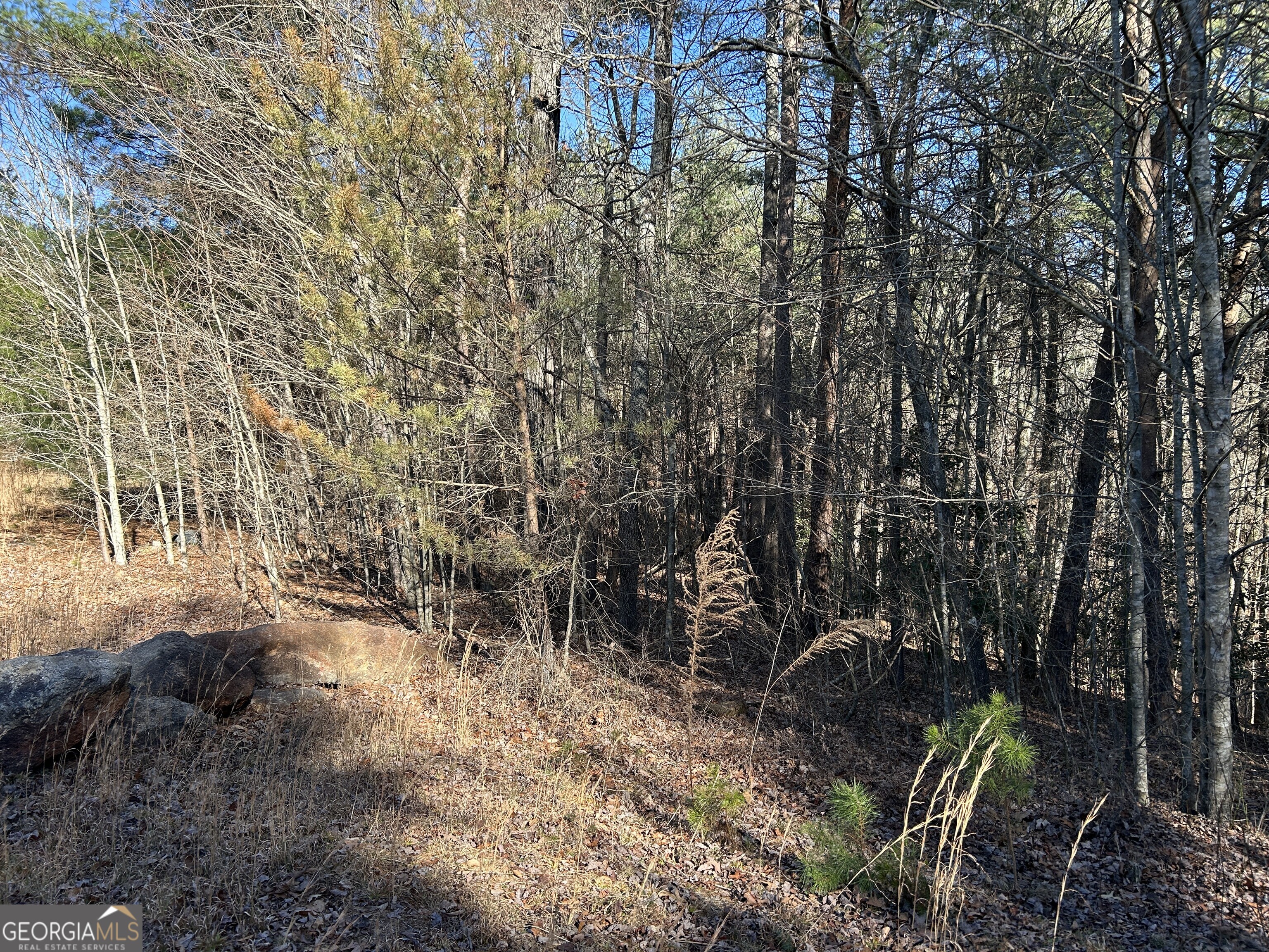 0 Twin River Orchard Road, Unit TRACT 4 Demorest, GA 30535 - Photo 10 of 15 a view of backyard with green space