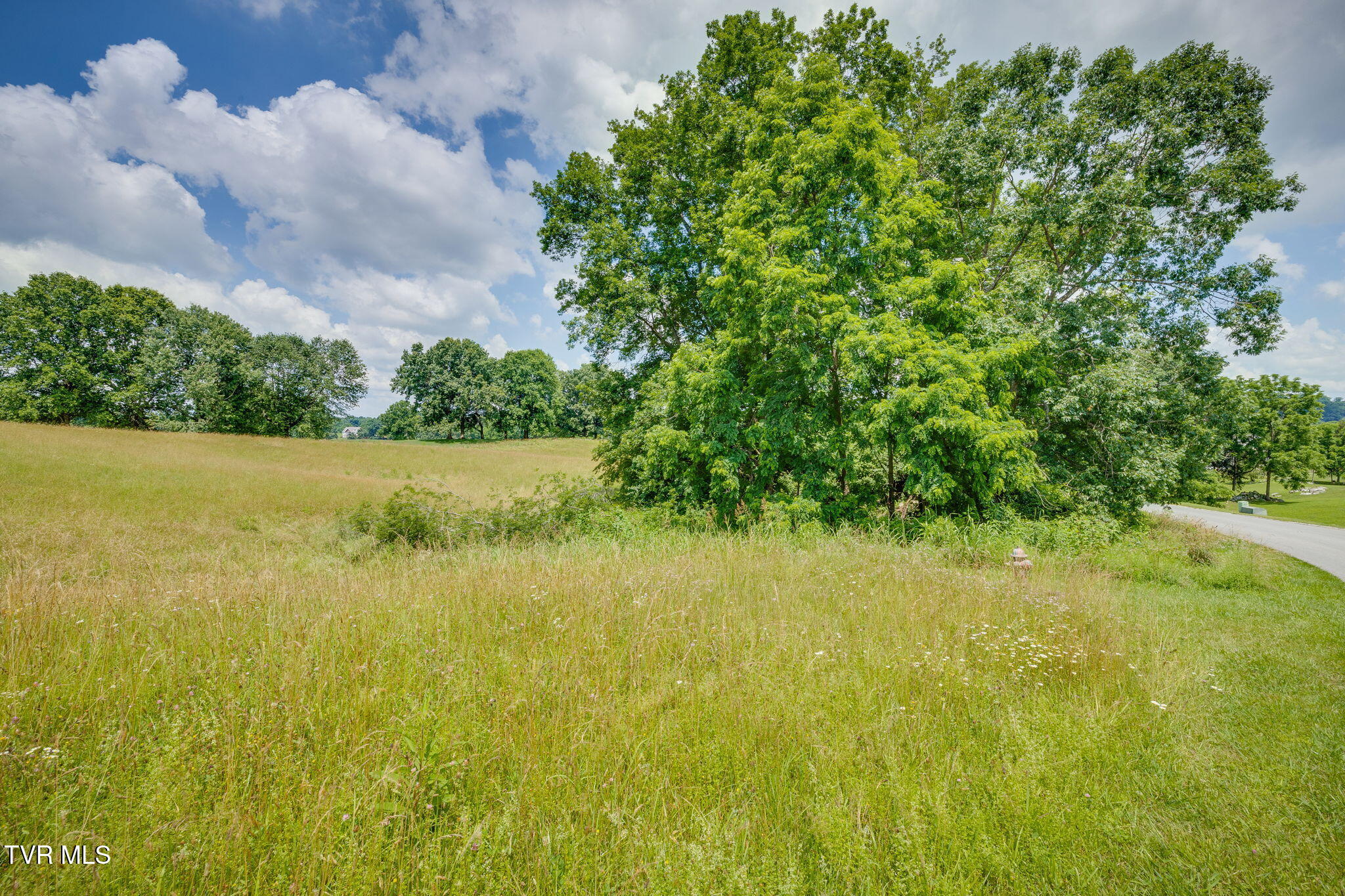 Tbd Virginia Trail, Unit LOT 160 Bristol, VA 24202 - Photo 6 of 13 101