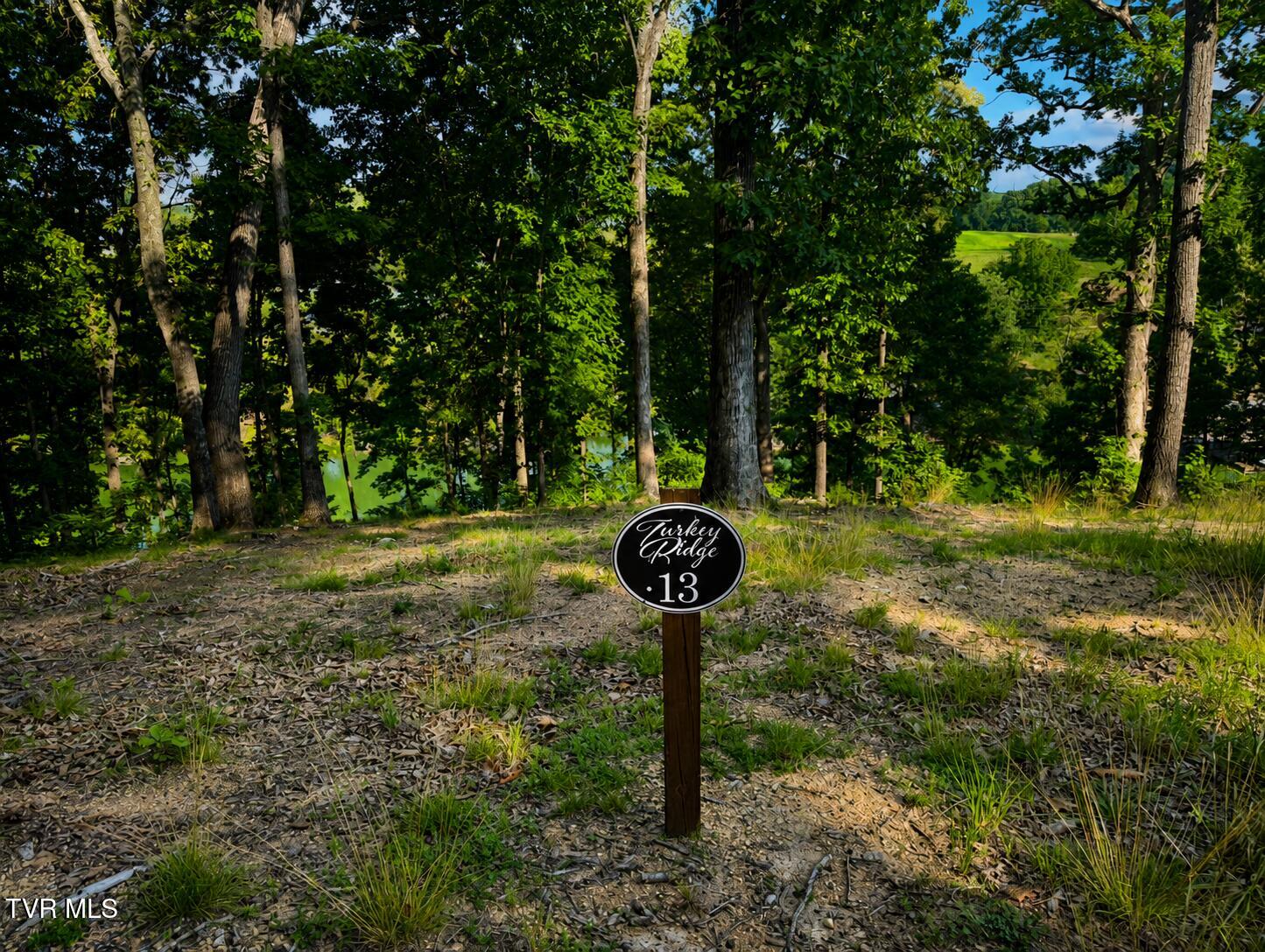 2318 Turkey Ridge Lane, Unit 13 Piney Flats, TN 37686 - Photo 2 of 4 lot 13 acreage