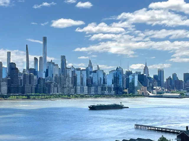 a view of a yard with a large trees