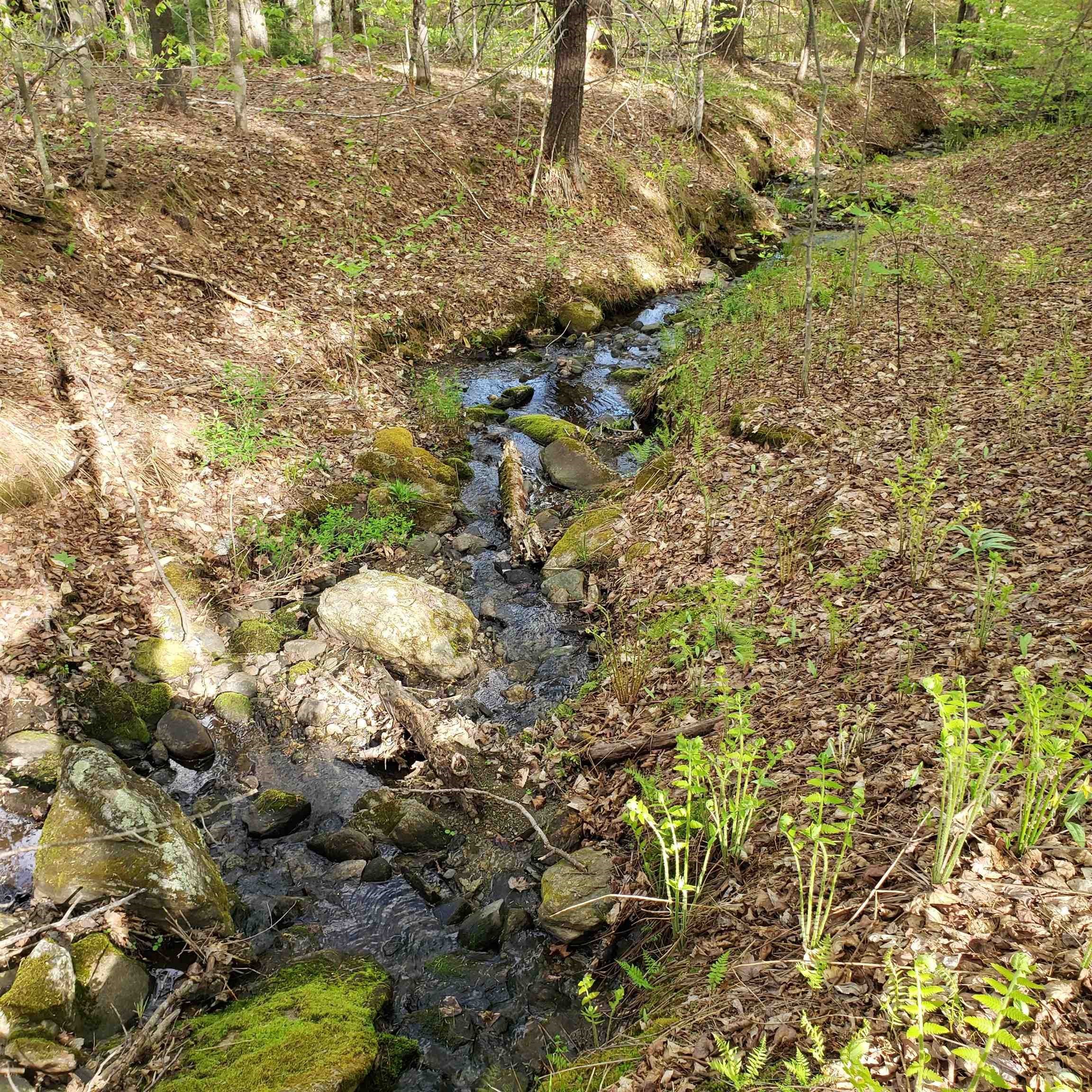 Tbd Back Windham Road West Townshend, VT 05359 - Photo 4 of 12