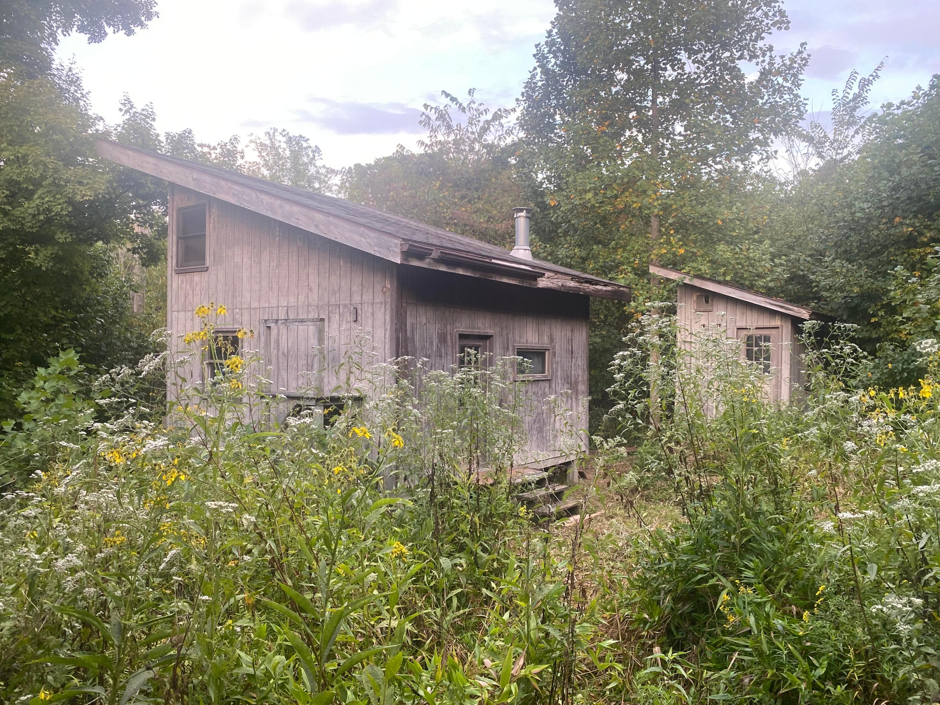 Cabin with Outhouse