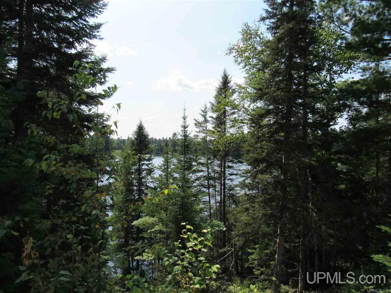 Tbd Berry Road Michigamme, MI 49861 - Photo 12 of 17