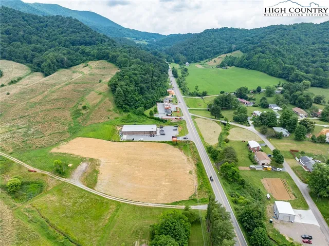 a view of a tree in a garden