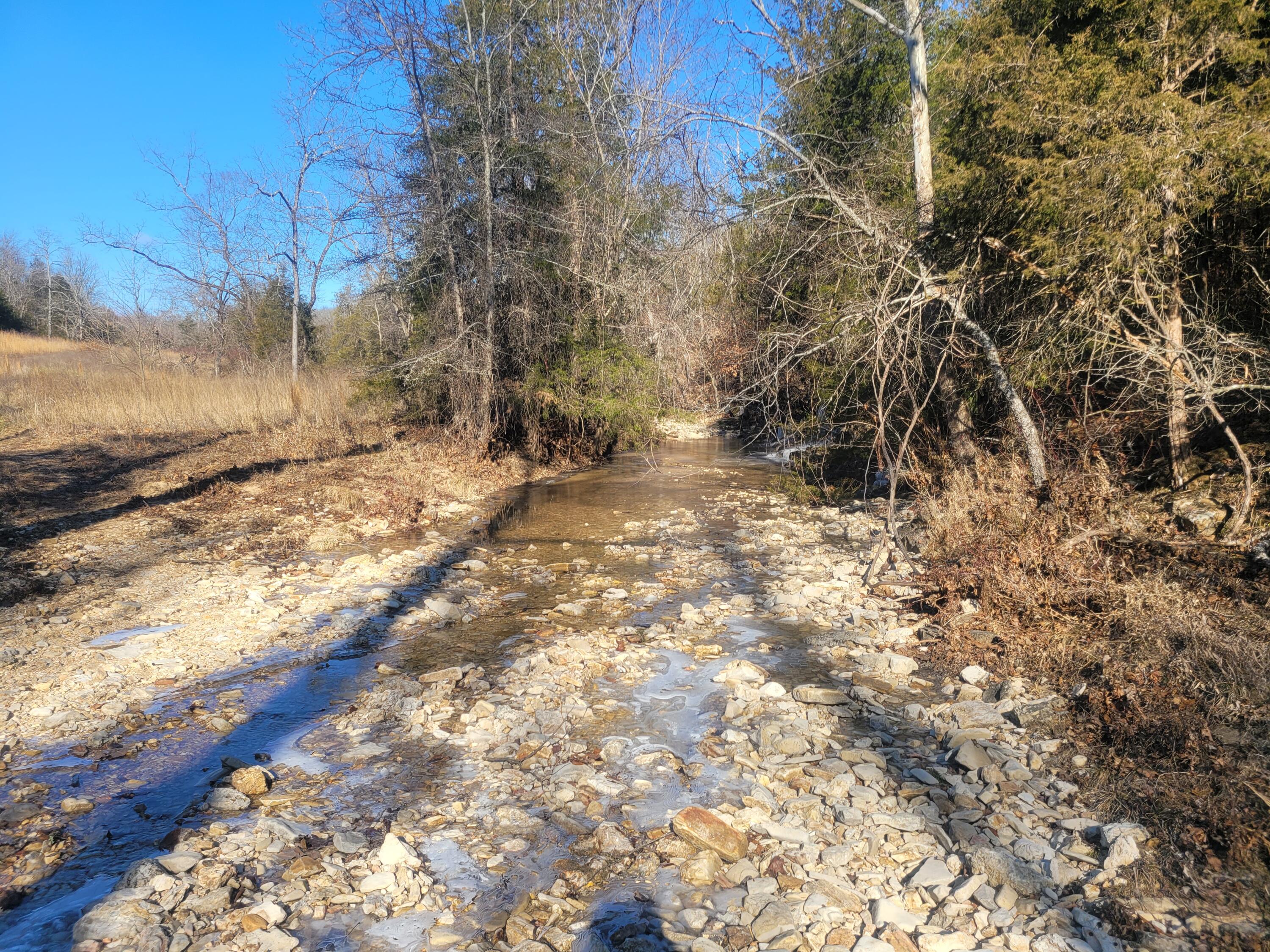361 Hickory Flats Road Ava, MO 65608 - Photo 14 of 47 20250123_104147