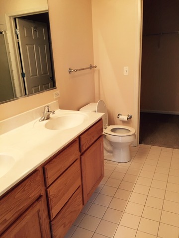 720 Prestwick Lane, Unit 303 Wheeling, IL 60090 - Photo 11 of 15 a bathroom with a sink a toilet and mirror