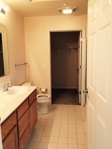 720 Prestwick Lane, Unit 303 Wheeling, IL 60090 - Photo 9 of 15 a bathroom with a sink a toilet and a mirror