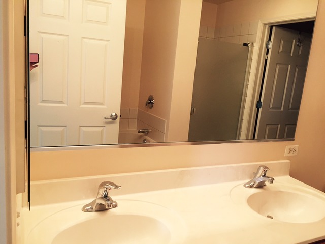 720 Prestwick Lane, Unit 303 Wheeling, IL 60090 - Photo 10 of 15 a bathroom with a sink and a mirror
