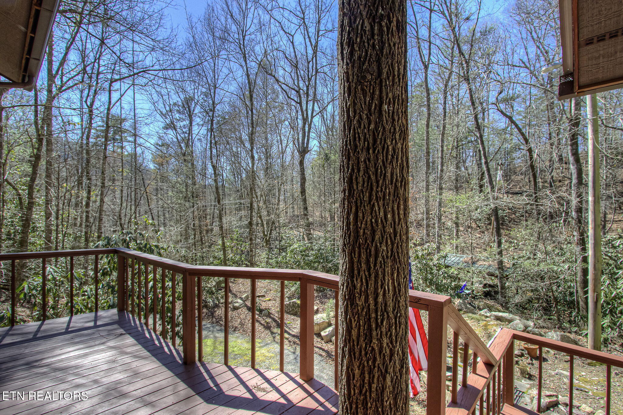 1324 Huskey Branch Road Walland, TN 37886 - Photo 15 of 37 IMG_6016