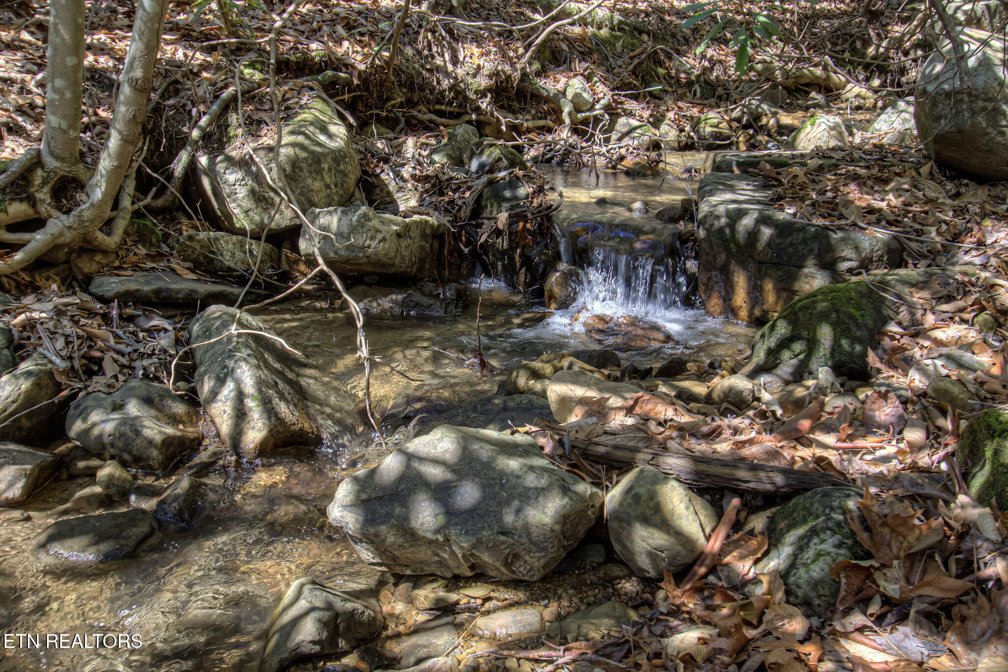 1324 Huskey Branch Road Walland, TN 37886 - Photo 31 of 37 IMG_6067 (1)