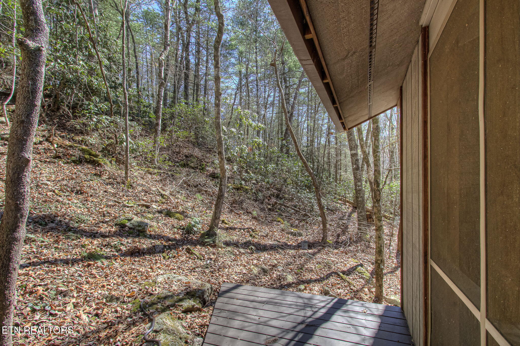 1324 Huskey Branch Road Walland, TN 37886 - Photo 5 of 37 IMG_6052