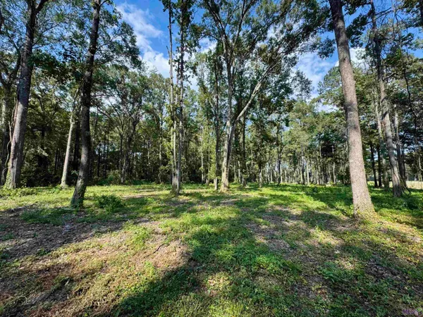 $44,900 | 16 Denham Springs, Pine Grove, LA 70453