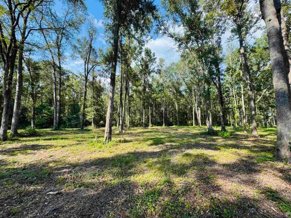 $44,900 | 16 Denham Springs, Pine Grove, LA 70453