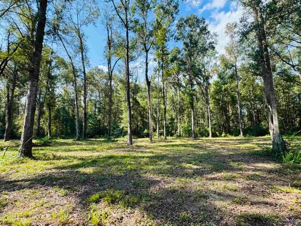 $44,900 | 16 Denham Springs, Pine Grove, LA 70453