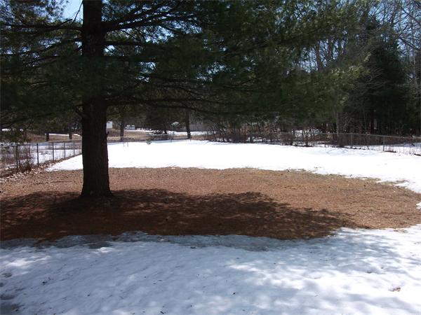 396 Acton Road Chelmsford, MA 01824 - Photo 23 of 25 Gallery Image 23