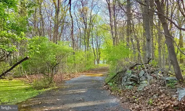 a view of yard with tree