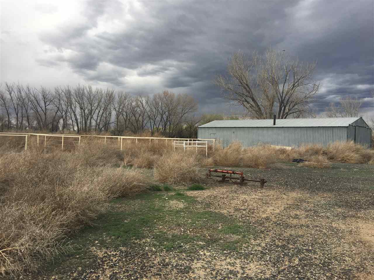 843 21 Road Fruita, CO 81521 - Photo 3 of 5 a view of a dry yard