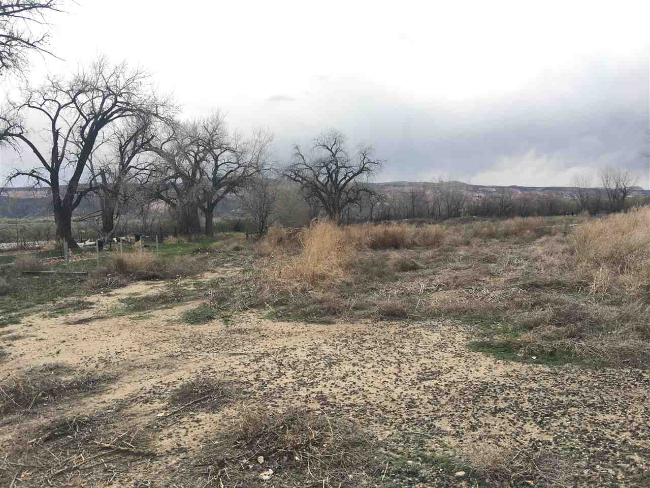 843 21 Road Fruita, CO 81521 - Photo 4 of 5 a view of a yard