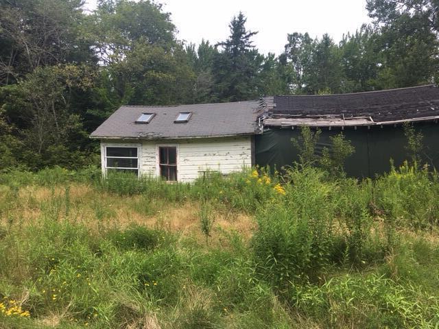 147 Toddy Pond Road Surry, ME 04684 - Photo 1 of 3 IMG_4710