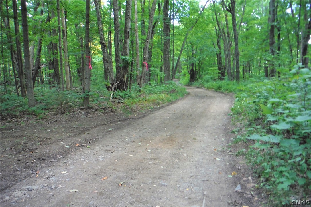 0 Smith Road Constableville, NY 13325 - Photo 7 of 8